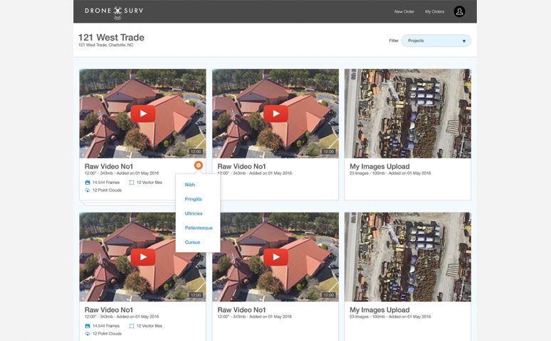 DroneSurv Measurement with Drones