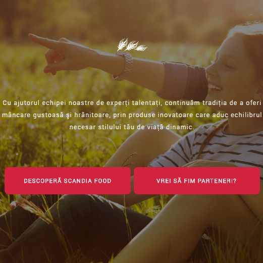 Scandia Web Presence